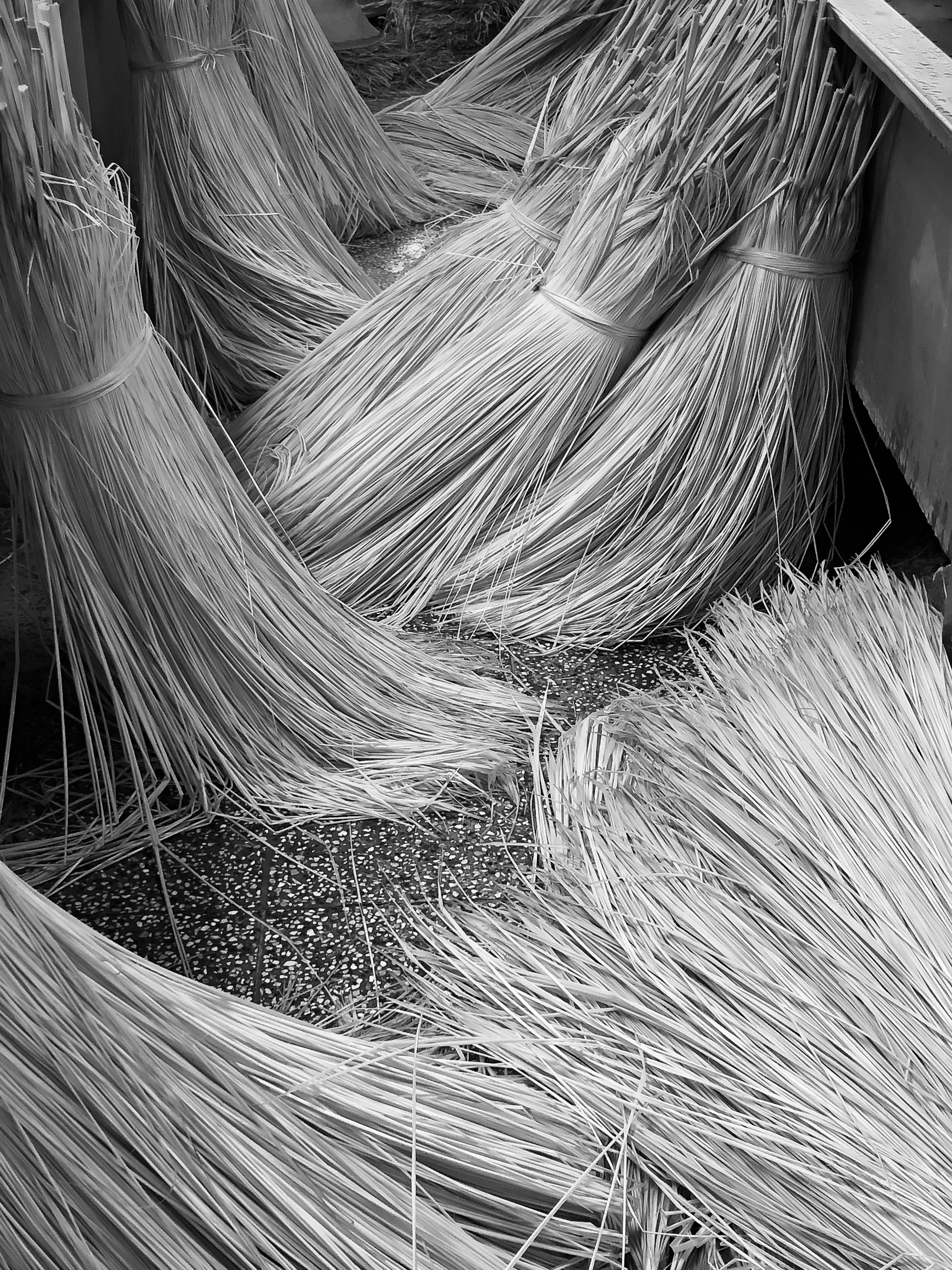 Peniche wartości marki